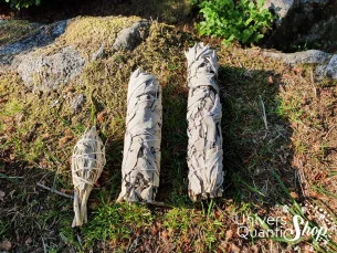 Sauge Blanche Amérindienne – Salvia Apiana – les Bâton Purificateur et ses 3 tailles différents