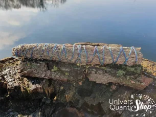 Sauge du Désert – Artemisia Tridentata – Grand Bâton Transformateur