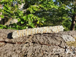 Sauge de Prairie – Artemisia Ludoviciana – Grand Bâton de Consécration