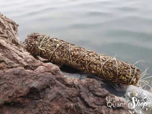Chapparal – Larrea Tridentata – Grand Bâton de Perception dans la nature