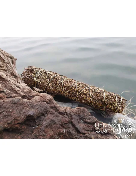 Chapparal – Larrea Tridentata – Grand Bâton de Perception dans la nature