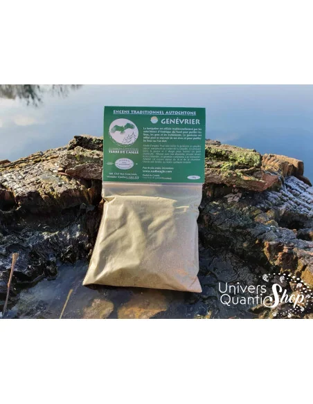 Genévrier des rocheuses – Juniperus scopulorum – Poudre des Rêves Genévrier des rocheuses – Juniperus scopulorum – Poudre des Rêves