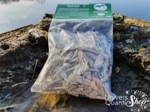 Sauge Blanche Amérindienne – Salvia Apiana – Grand Purificateur – Sachet de 40 grs