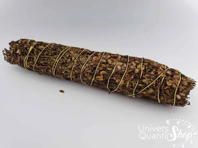 Chapparal – Larrea Tridentata – Grand Bâton de Perception sur fond blanc