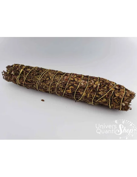 Chapparal – Larrea Tridentata – Grand Bâton de Perception sur fond blanc