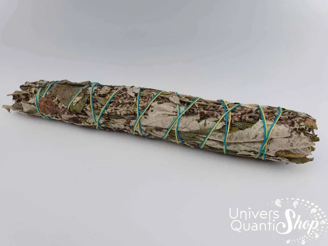 Armoise Artemisia Vulgaris – Grand Bâton des Rêves sur fond blanc