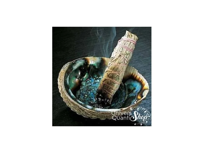 Coquille d’Ormeau – Oreille de Mer – 100% Naturelle avec une sauge qui fume