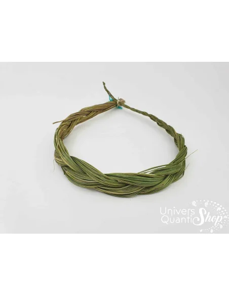 Le Foin d’Odeur sur fond blanc, Symbole Féminin de Bienfaisance Le Foin d’Odeur sur fond blanc, Symbole Féminin de Bienfaisance