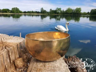 Bol Chantant Tibétain “Traditionnel” aux 7 métaux avec le cygne