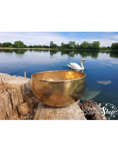 Bol Chantant Tibétain “Traditionnel” aux 7 métaux avec le cygne