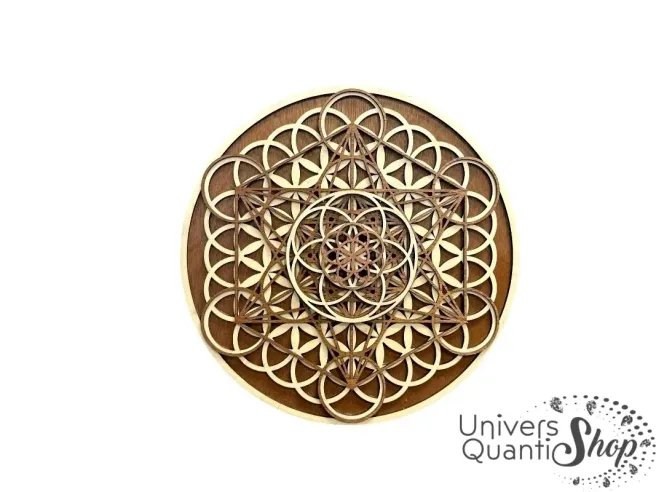 deco murale ronde bois, tableau en forme de graine de vie, couleur foncée