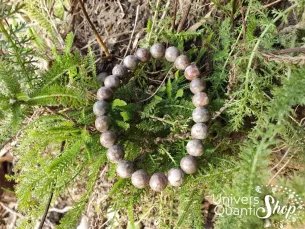 agate fossile bracelet dans la nature