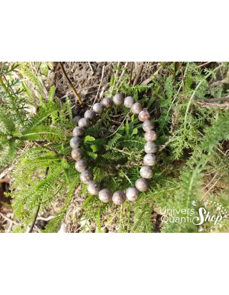 agate fossile bracelet dans la nature agate fossile bracelet dans la nature