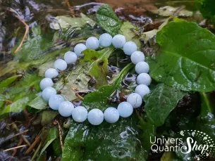 aigue marine bienfaits en lithothérapie, bracelet 08mm sur des feuilles dans la forêt