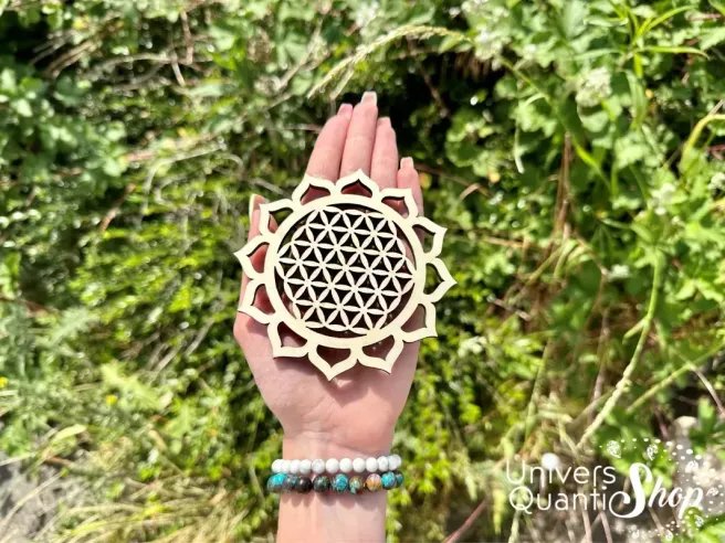 fleur de lotus yoga dans une main, fleur de vie lotus à utiliser pour la méditation, concentration et éveil spirituel