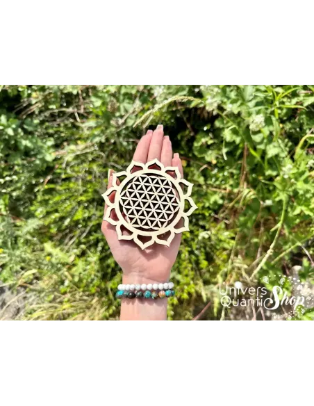 fleur de lotus yoga dans une main, fleur de vie lotus à utiliser pour la méditation, concentration et éveil spirituel fleur de lotus yoga dans une main, fleur de vie lotus à utiliser pour la méditation, concentration et éveil spirituel