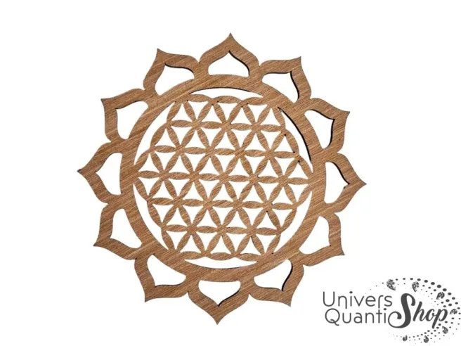 fleur de lotus spiritualité, fleur de vie avec forme lotus autour, bois foncé okoumé sur fond blanc