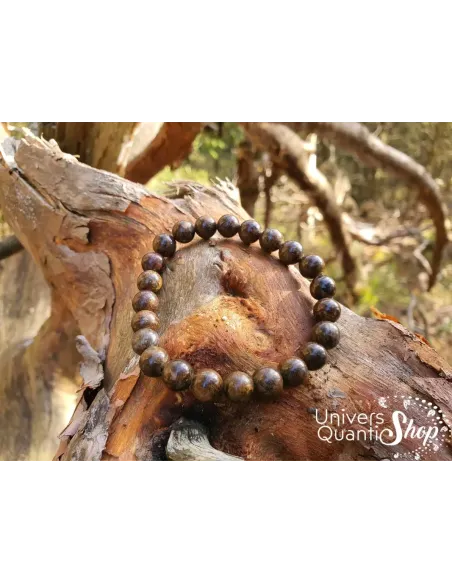 bronzite bienfaits et signification, bracelet posé sur une branche d'arbre dans la nature