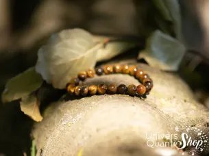 oeil de tigre bracelet pierre naturelle 8mm posé sur une branche d'arbre