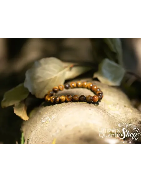 oeil de tigre bracelet pierre naturelle 8mm posé sur une branche d'arbre