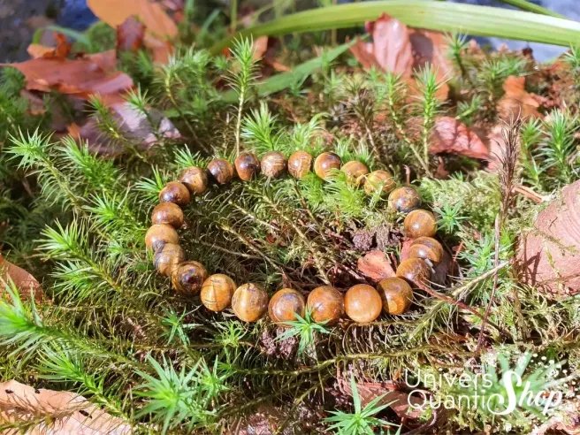 oeil de tigre vertus, bracelet de protection 8mm posé sur l'herbe