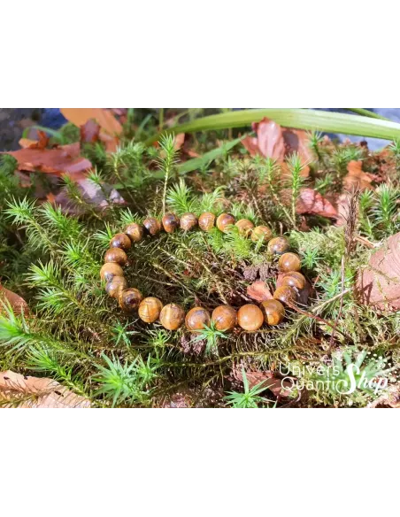 oeil de tigre vertus, bracelet de protection 8mm posé sur l'herbe
