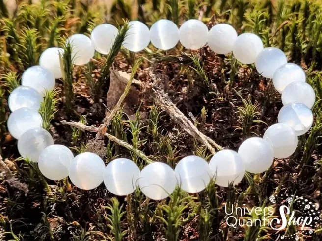 bracelet en sélénite de qualité extra AA 8mm posé sur une mousse dans la forêt vue zoom