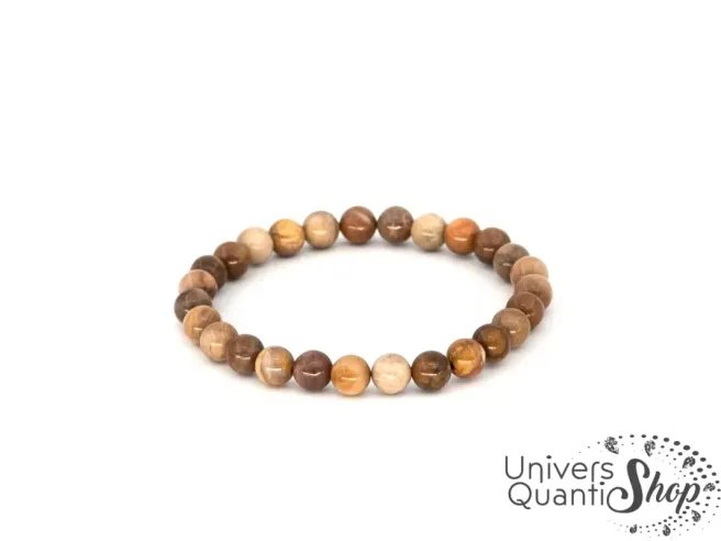 bois fossile pierre - pierre naturelle pour la perte de mémoire - univers quantic shop