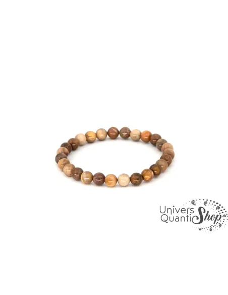 bois fossile pierre - pierre naturelle pour la perte de mémoire - univers quantic shop