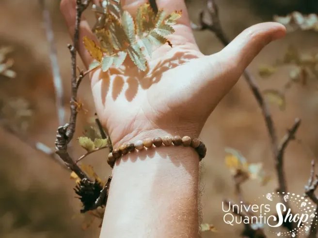 bois fossile pierre - pierre naturelle pour la perte de mémoire - univers quantic shop