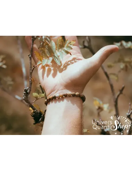 bois fossile pierre - pierre naturelle pour la perte de mémoire - univers quantic shop