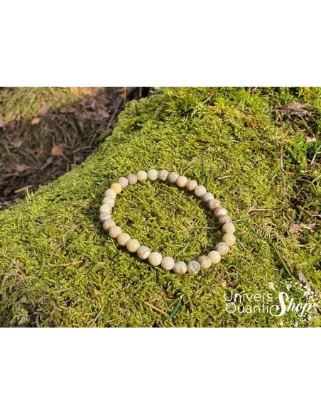 Bracelet Corail Fossile – Pierre de Restructuration – Qualité AB – Boule 6mm