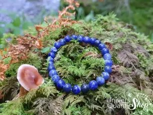 sodalite bracelet pierre naturelle bleue du brésil 6mm sur de la mousse en forêt