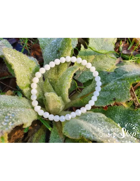 péristérite bracelet labradorite blanche 6mm posé sur plante en nature péristérite bracelet labradorite blanche 6mm posé sur plante en nature