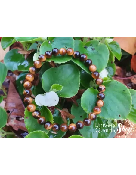 oeil de tigre bracelet pierre naturelle 6mm posé sur des plantes vertes