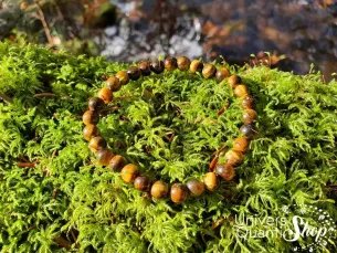 bracelet oeil de tigre véritable 6mm posé sur de la mousse en forêt