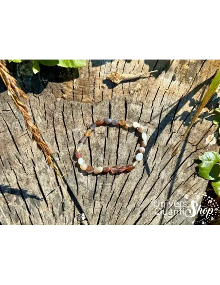 agate botswana bracelet pierres roulées naturelles posé sur une souche d'arbre