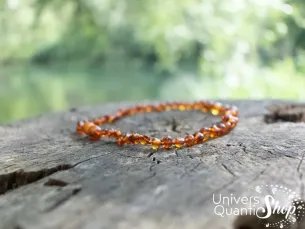 collier ambre bébé cognac véritable sur une souche d'arbre