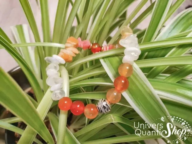 création bracelet personnalisable amour isis 8mm sur une plante verte - univers quantic shop