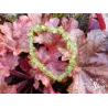 Bracelet Péridot – favorise la clairvoyance – Qualité A – Baroque
