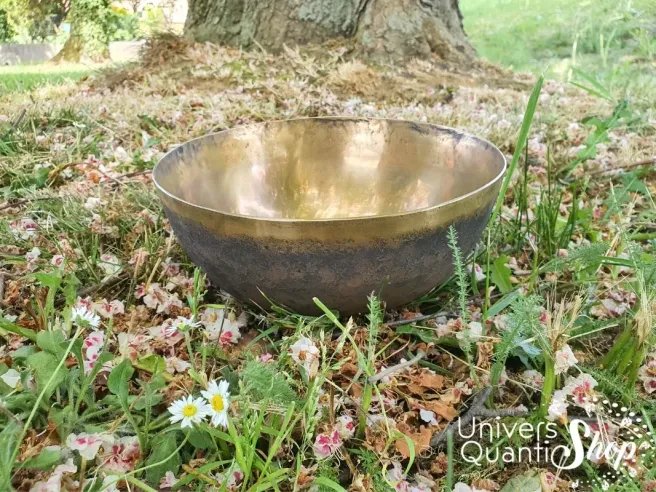 Bol Chantant Tibétain “Art Antique” aux 6 métaux au pied d'un arbre