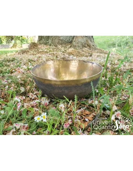 Bol Chantant Tibétain “Art Antique” aux 6 métaux au pied d'un arbre
