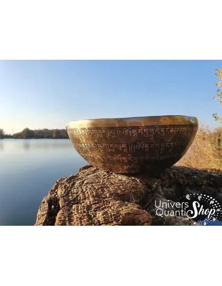 Bol Chantant Tibétain “Tara Blanche Gravé Main” aux 9 métaux - 29 cm / 2245 grs vue de face avec paysage