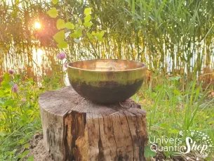 Bol Chantant Tibétain “Terre du Soleil” aux 9 métaux posé sur une souche d'arbre