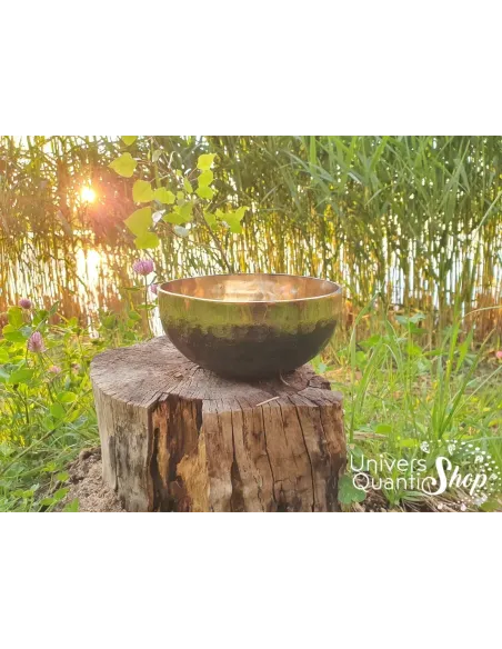 Bol Chantant Tibétain “Terre du Soleil” aux 9 métaux posé sur une souche d'arbre