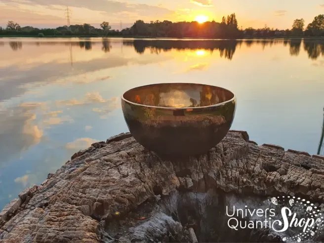 Bol Chantant Tibétain “Terre du Soleil” 9 métaux posé sur une souche d'arbre