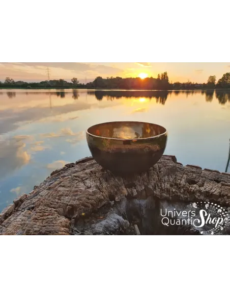 Bol Chantant Tibétain “Terre du Soleil” 9 métaux posé sur une souche d'arbre