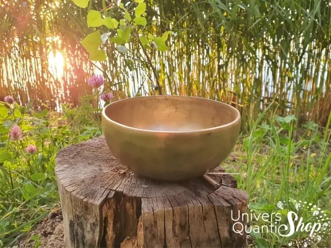 Bol Chantant Tibétain “Traditionnel” aux 8 métaux vue de face sur une souche d'arbre