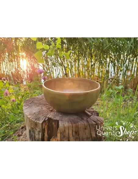 Bol Chantant Tibétain “Traditionnel” aux 8 métaux vue de face sur une souche d'arbre