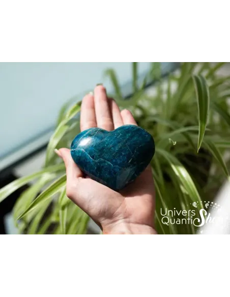 coeur en apatite bleue qualité A+ numéroo 7 posé dans une main